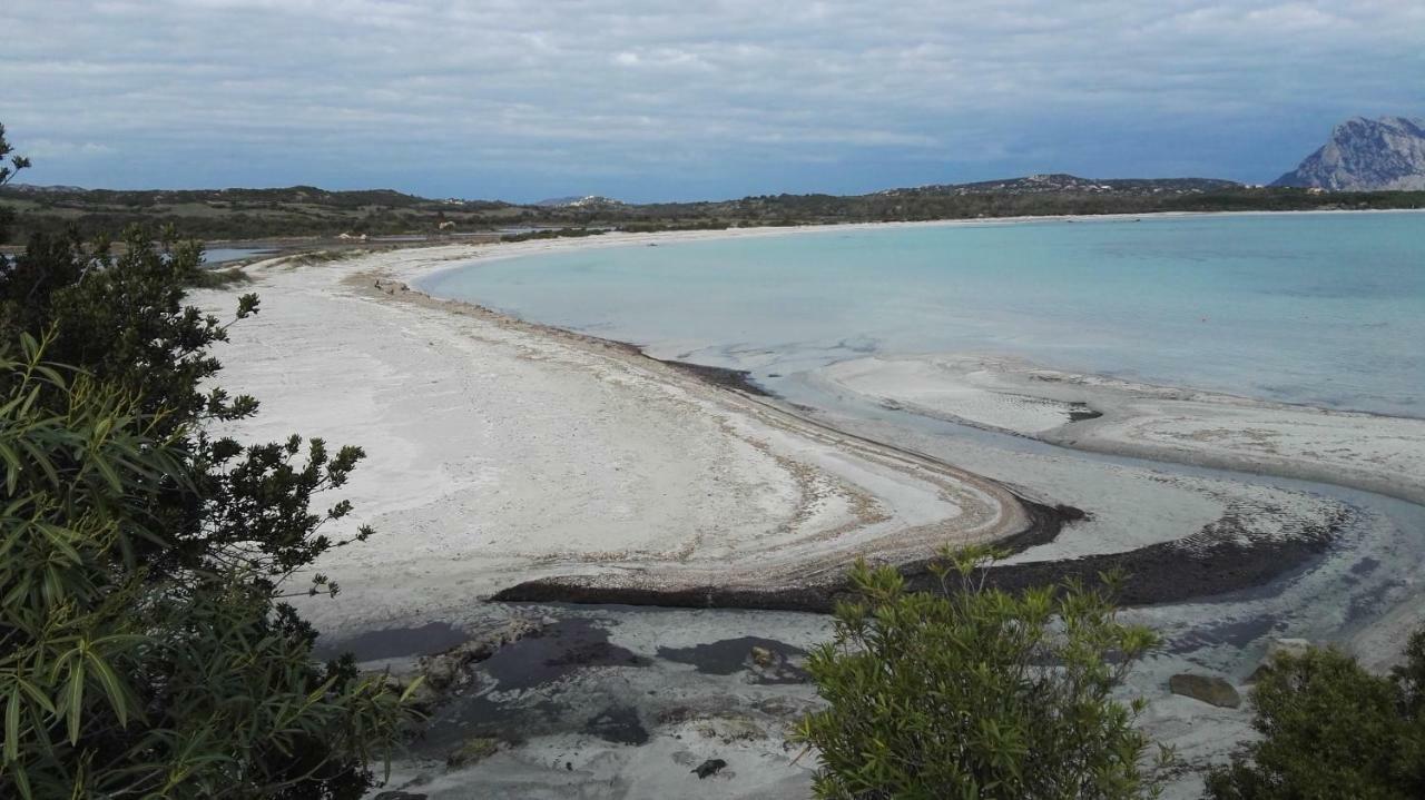 Appartamenti Sardegna Loiri Porto San Paolo Exterior foto